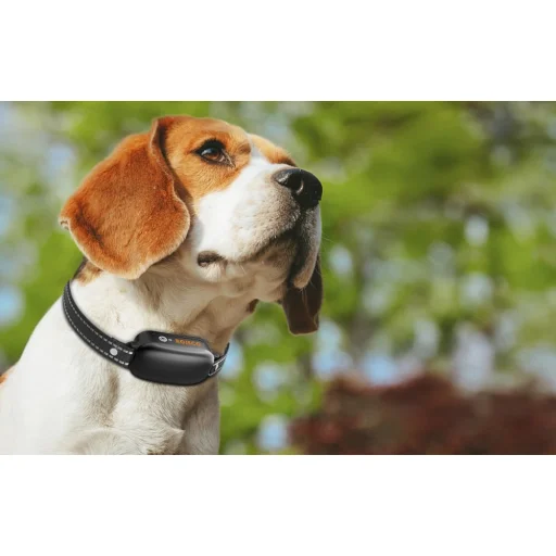 RojecoPD521 1000m Kutyakiképző Nyakörv 2 nyakörvvel (fekete) - 6