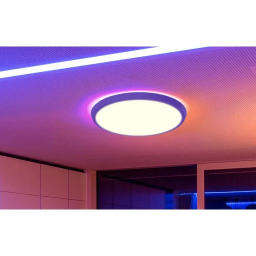 BlitzWill BW-CLT1 Okos mennyezeti lámpa - 6