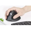Vezeték nélküli függőleges egér Delux M618Mini DB BT+2.4G 2400DPI (fekete) thumbnail