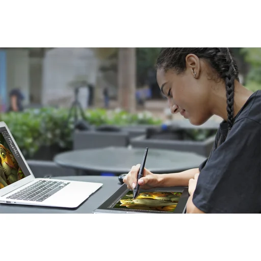 Huion Kamvas Pro 13 grafikus tábla - 10