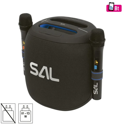 SAL PARCUBE boombox, 100 W, 2db vezeték nélküli mikrofon, 5db hangszóró, LED fényeffekt, IPX6 védelem, bluetooth - 1