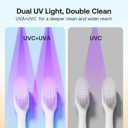 Bitvae - Légszárító Fertőtlenítő (BVX122) - Fogkeféhez, UV Fertőtlenítés, Induktív Kapcsoló, Antibakteriális, LED Képernyő - Fehér - 4