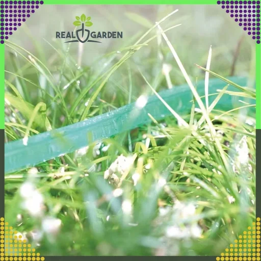 Kerti locsolótömlő gyorscsatlakozókkal 3 m RC-K-1472 zöld - 7