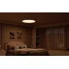 Smart CW Ceiling Lamp Yeelight Meteor C400 thumbnail