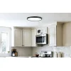 Smart CW Ceiling Lamp Yeelight Meteor C400 thumbnail