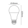 Asalite LED Izzó A65 gömb E27 15W 6500K (1430 lumen ) - 2