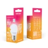 Forever Light LED Bulb E27 G45 4.2W 480lm 3000K class E - 2