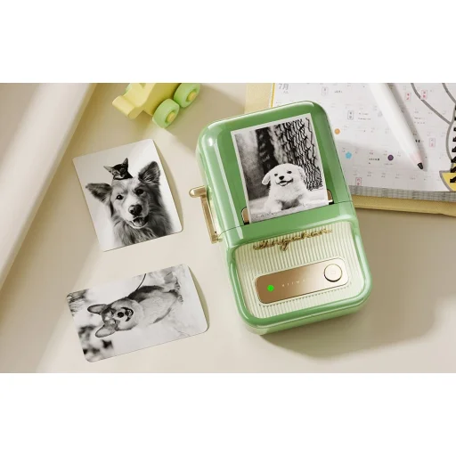 Niimbot B21 Pro hordozható címkenyomtató (sötétzöld) - 10