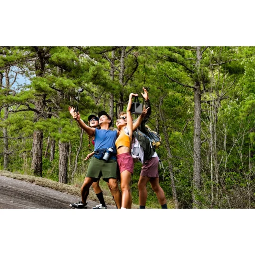 EcoFlow TRAIL 200 DC hordozható erőmű - 12