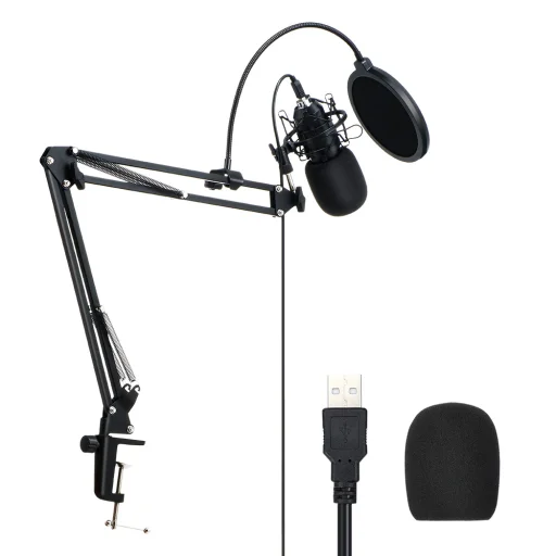 BlitzWolf BW-CM2 USB Mikrofon, tartó konzollal fekete - 1