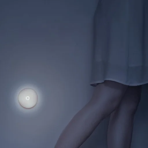 Baseus Light garden Series Intelligens indukciós éjszakai fény, hideg vagy meleg fény - 2