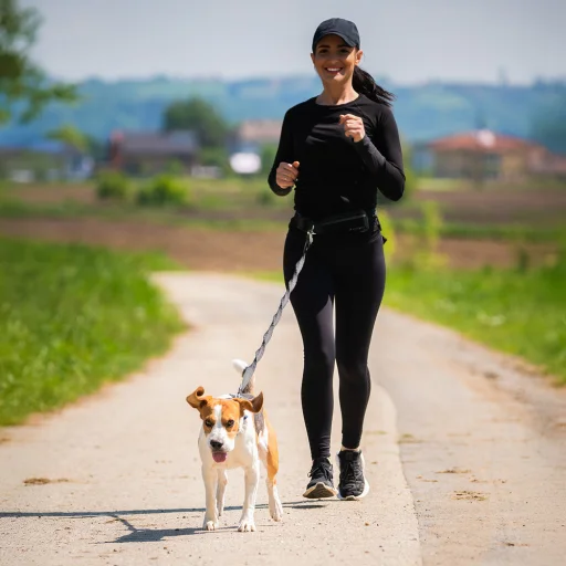 Wozinsky WPST-01 futóövtáska kutyasétáltatáshoz - fekete - 9