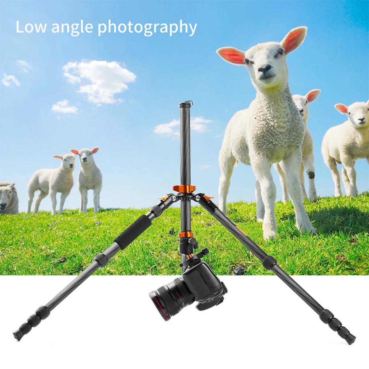 KF Concept SA225C1 karbon fényképező állvány, tripod gömbfejjel (KF09.094)-8
