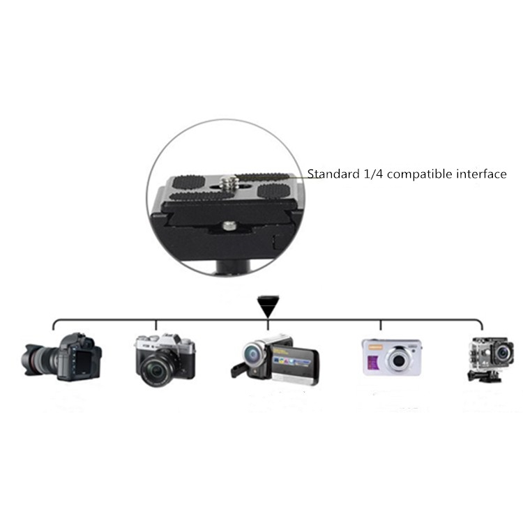 BEXIN V-30 360 fokos panoráma gömbfej gyorscseretalppal (TBD0863497)-1