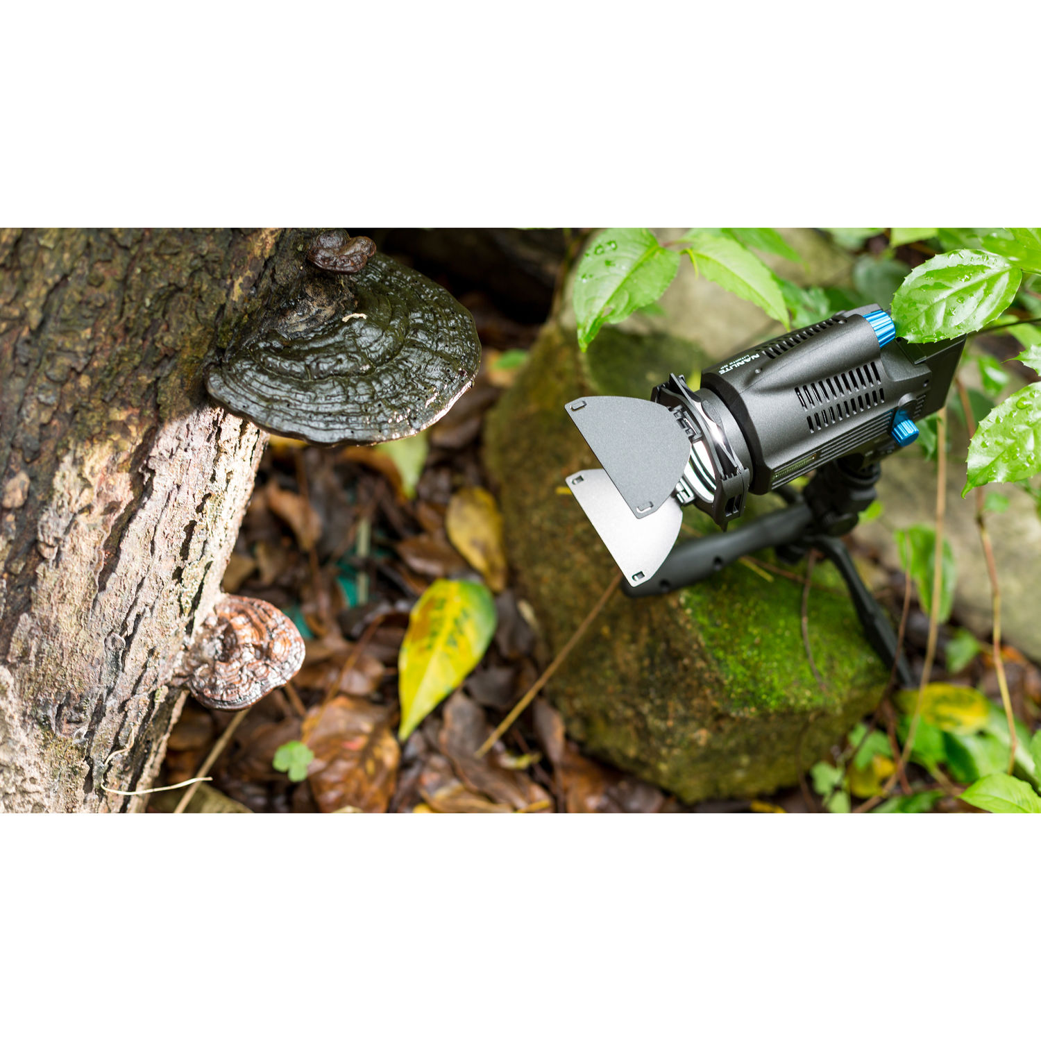 Nanlite LitoLite 8F Fresnel lámpa 5600K-5