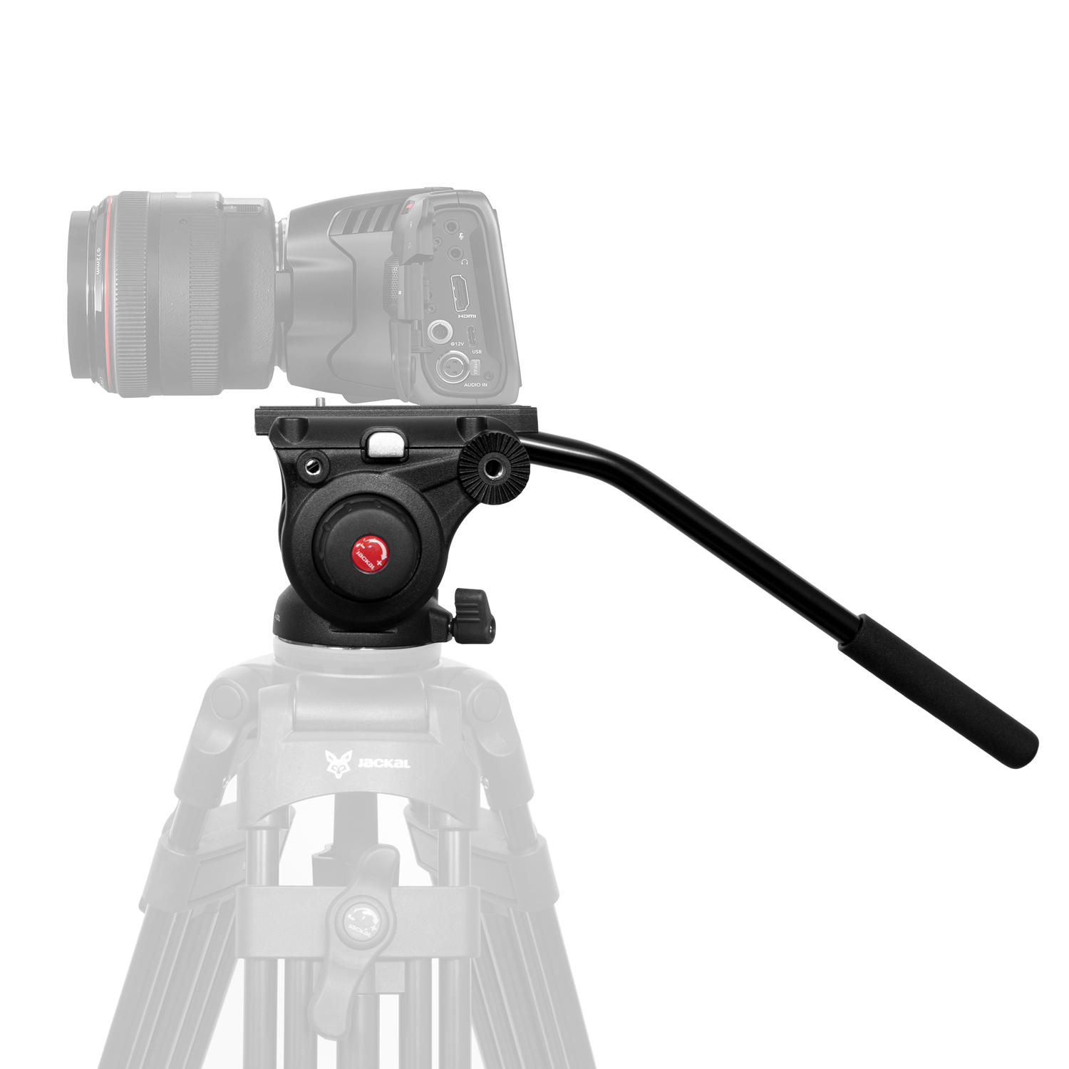 Jackal Monster V2 fluid video fej-0
