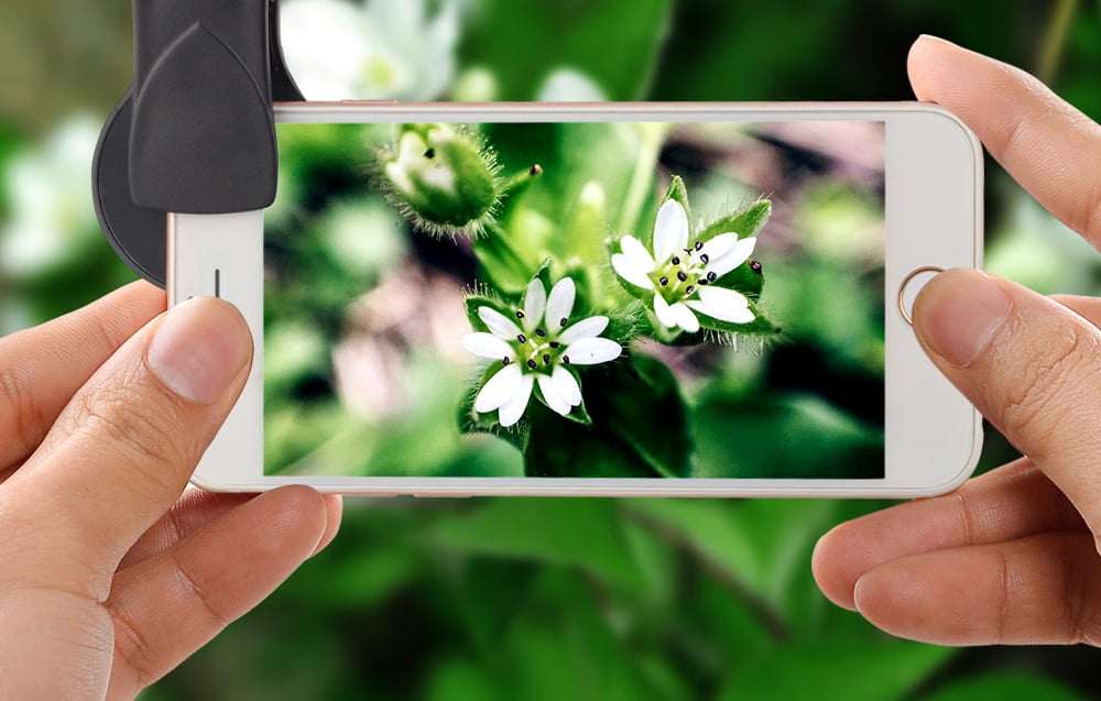 APEXEL APL-0.45XWM 0.45x széles látószögű + 12.5x makró mobiltelefon objektív (fekete)-2