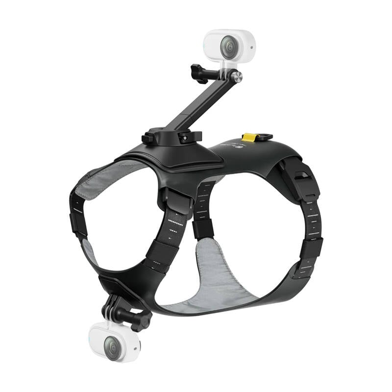 Kisállat hám méret M az Insta360 GO 3/ GO 3S kamerákhoz-2