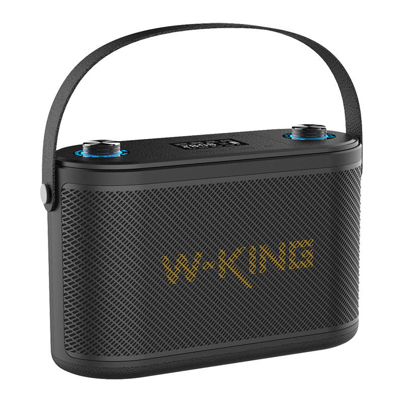 W-KING H10 120W Bluetooth Hangszóró (fekete)-6
