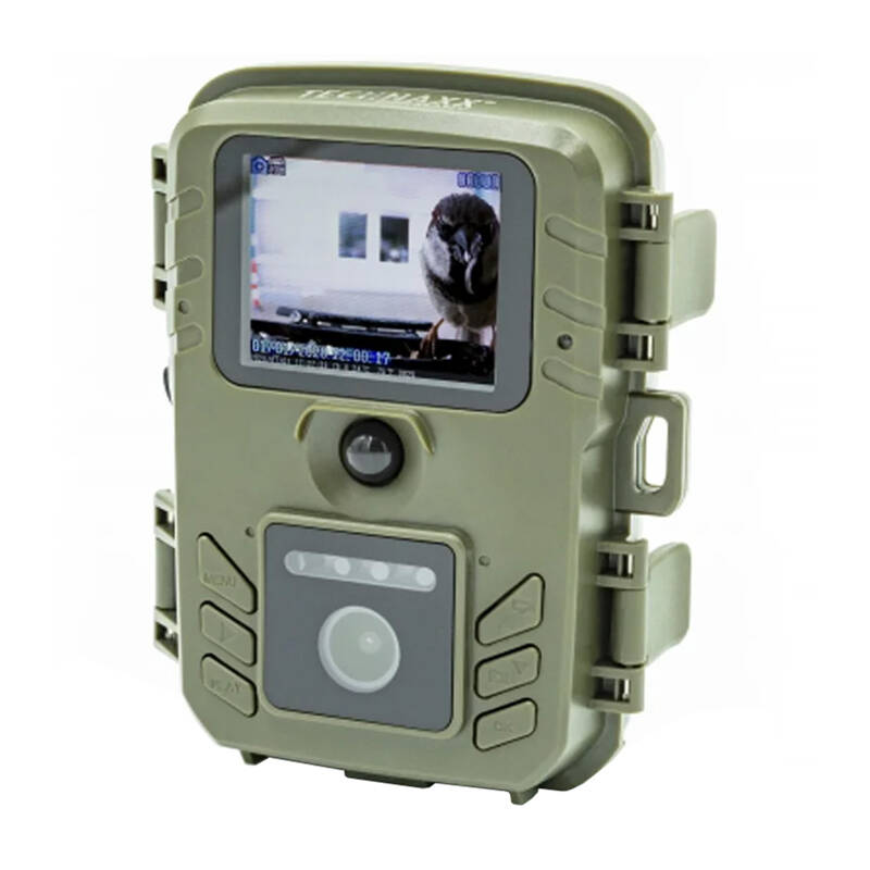 Suntek BC-303W madáretetős fotócsapda-3