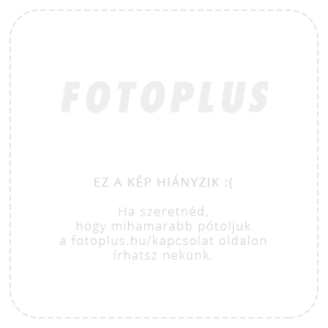 Manfrotto (Lastolite) LL LA2422 dönthető fej vakusaruval, szorítóval