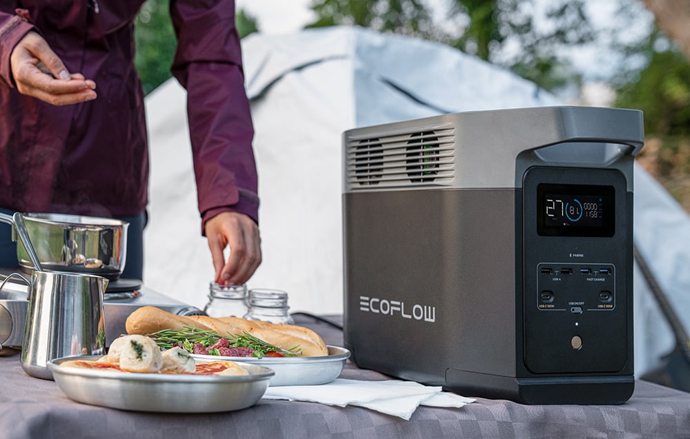 EcoFlow Delta 2 hordozható erőmű (ZMR330-EU)-5