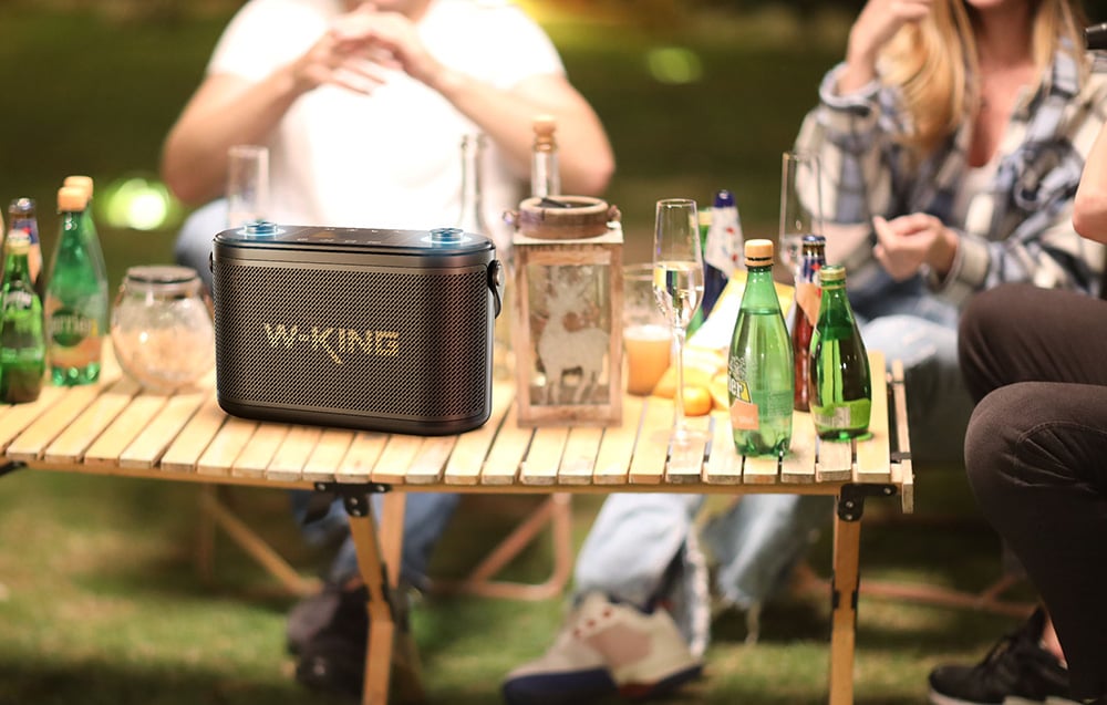 W-KING H10 120W Bluetooth Hangszóró (fekete)-3