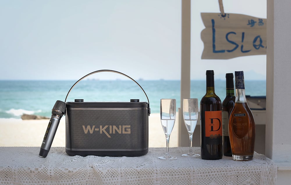 W-KING H10 120W Bluetooth Hangszóró (fekete)-9