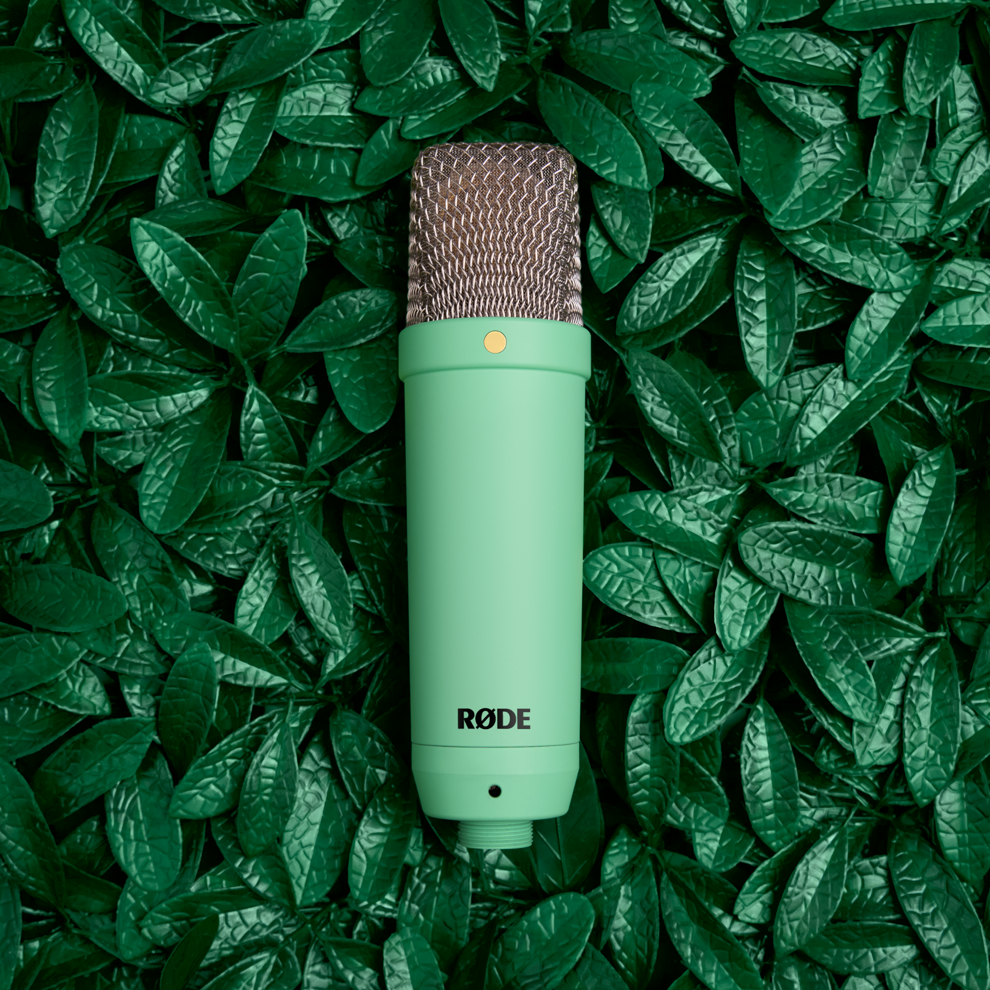 RØDE NT1 Signature Series kondenzátor stúdió mikrofon, zöld-2