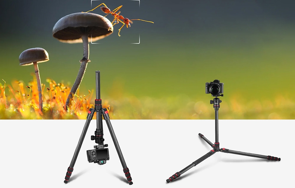 Neewer N55C tripod 168 cm-4