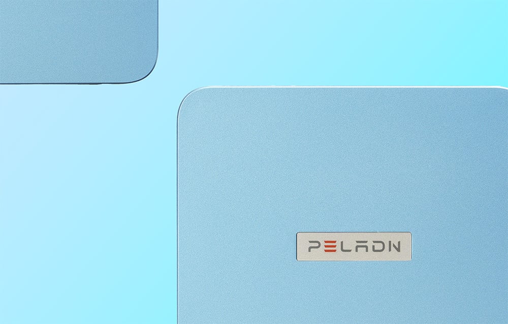 Peladn WI-6 N100 Mini PC 12+512GB-12