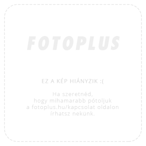 Insta360 Mic Pro adóegység, grafitszürke