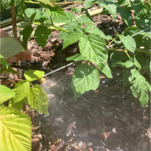 HOME GMS12 kerti párásító-permetező-öntöző készlet, 12 m vágható cső, 15 réz permetezőfej, adapter gyorscsatlakozóval - 4