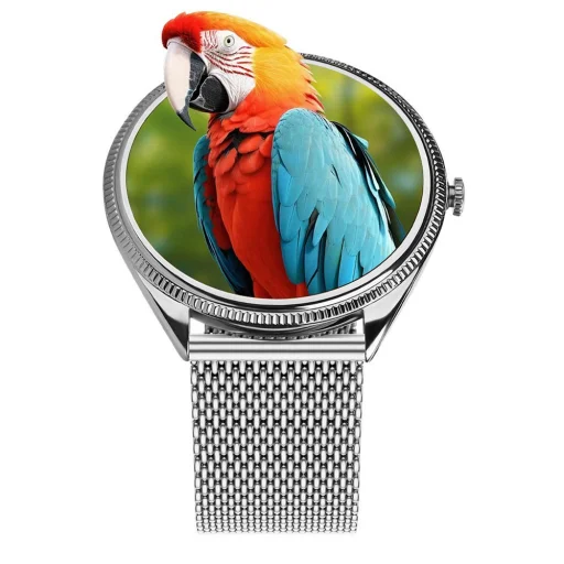 Titmo O-170 smart hodinky (AMOLED, Bluetooth hovory, strieborný sieťovaný remienok z nehrdzavejúcej ocele) strieborné - 8