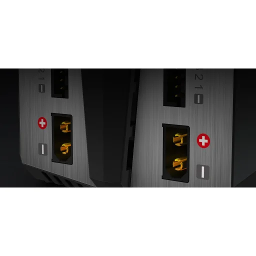 Nabíjačka SkyRC T100 2x50W - 5