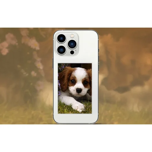 Liene Pearl fotopapier 2x3", 50 ks - 7