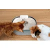 Petlibro Capsule intelligens kisállat itató thumbnail