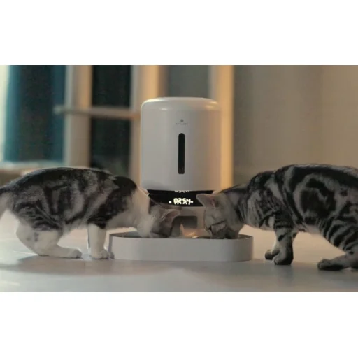 PETLIBRO Granary 5L automata kisállatetető dupla tállal (fekete) - 7