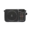 SAL RPR10 prenosné rádio s multimediálnym prehrávačom, bezdrôtový Bluetooth reproduktor, 3-pásmové rádio, prehrávanie MP3 z USB/microSD zariadení, nabíjateľné thumbnail
