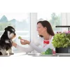 RainPoint hidroponikus termesztőkészlet thumbnail
