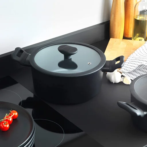 Russell Hobbs RH01864EU7 Crystaltech vysoký hrniec 24 cm - 5