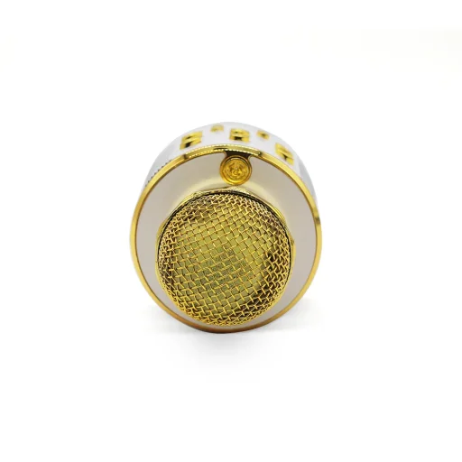 Manta MIC10-G Gold karaoke mikrofón s reproduktorom - 7