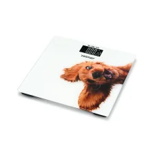 Zelmer ZBS1010 Crazy Dog osobná váha