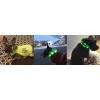 Anicoll LED obojok pre psov a mačky zelený thumbnail