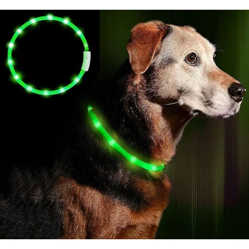 Anicoll LED obojok pre psov a mačky zelený - 2
