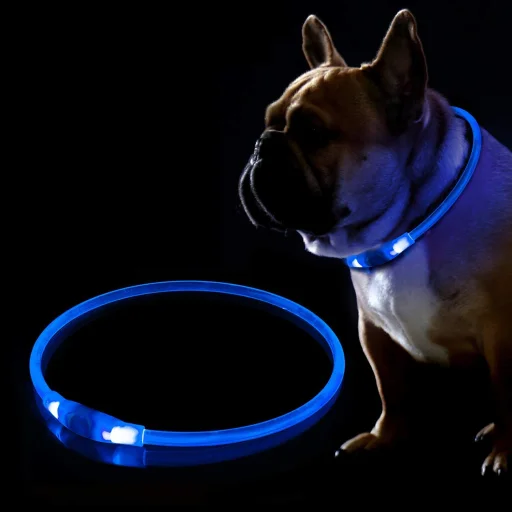 KABB LED obojok pre psy a mačky, modrý - 2