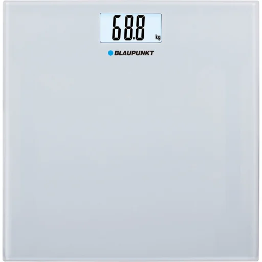 Blaupunkt BSP301 - 1