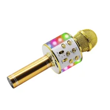 Manta MIC20-GL Gold karaoke mikrofón s reproduktorom
