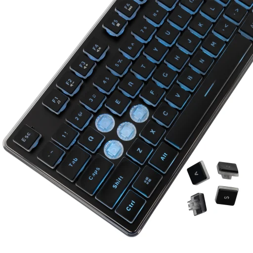 White Shark GK-003141 Tachi Black US - 4