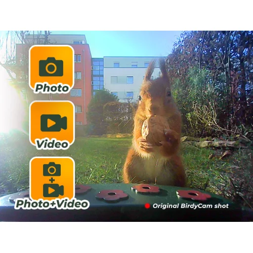 Easypix BirdyCam kamera na pozorovanie vtákov - 3